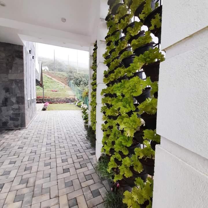 Pensive Villa Nuwara Eliya Exterior foto